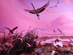 -中国湿地博物馆