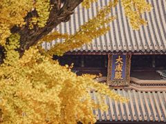 -苏州文庙(姑苏区)