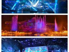 -奥兰多迪士尼动物王国乐园