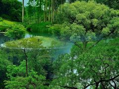 -云溪植物园