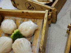 -鹅城