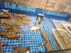 -小时候焗海鲜(鄞州万达店)