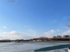 -大兴滨河森林公园