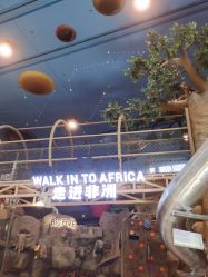 点击看大图 -卡通尼·Safari非洲探索乐园·生日会(金桥国际商业广场店)
