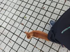 -品茶居素食馆(罗湖店)