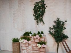 -小熊维尼高端儿童摄影(宝安旗舰店)