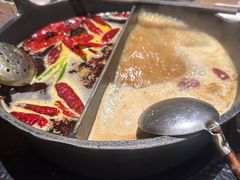 黑牛肝菌汤鸳鸳锅-大龙燚·旷野鲜火锅(广州首店)