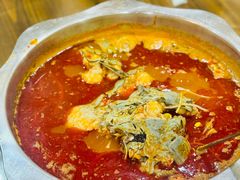 酸汤鱼火锅-苗姑酒堂(仁义社区店)