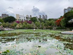 -攀枝花公园