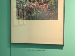 -南京书画院金陵美术馆