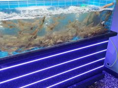 -0048鲜活香辣虾·火锅(铜陵路店)