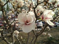 -意大利农场度假村