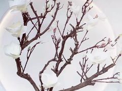 -不凡脑禅境·养生·舒压调理SPA(华发世纪城店)
