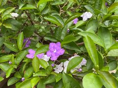 -白沙农贸综合市场