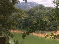 -广州市流溪河国家森林公园