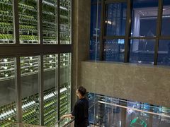 -重庆解放碑威斯汀酒店