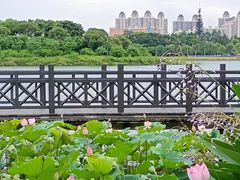 -海珠湖公园