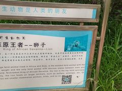 -秦皇岛野生动物园