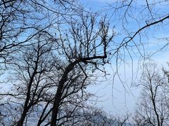 -终南山南五台景区