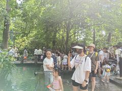 -成都市活水公园