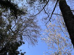 -杭州植物园
