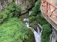 -鹿院坪生态旅游景区