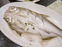 清蒸白丝鱼-沈厅酒家(周庄店)