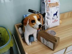 -申普宠物医院·眼科·心内科·影像科(普陀分院)