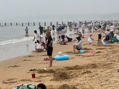 -日照海滨国家森林公园