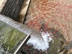 -开元溶洞