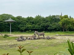 -宁波野生动物园
