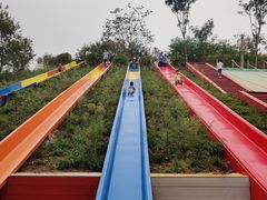 -西部长青自然儿童乐园