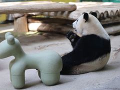 -杭州野生动物世界