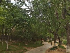 -前关湿地公园