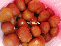 -阿男野栗王(金门路店)