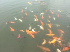 -永泰中国云顶