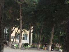 -东北大学(南湖校区)