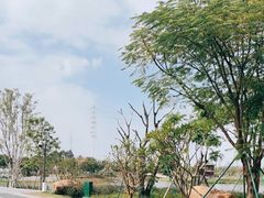 -王借岗森林公园