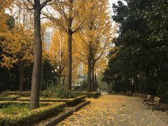 -苏州河梦清园环保主题公园