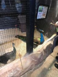 -酷嗒动物文化乐园(cutezoo西溪乐天城店)