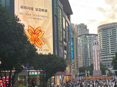 -茶颜悦色(重庆英利大融城LG层店)
