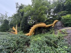 -宜兴龙背山森林公园
