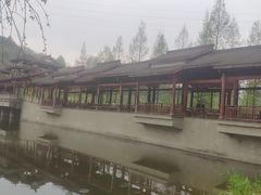 -重庆彩云湖湿地公园