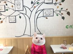 -华莱士·全鸡汉堡(艳粉店)