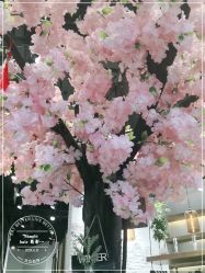 -简影造型·自选烫染接发salon