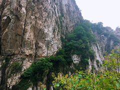 景点三皇寨栈道-少林寺景区