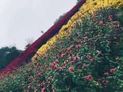 -保利石象湖景区