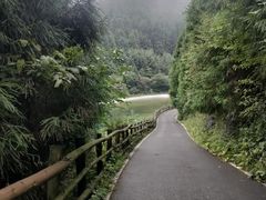 -武陵山森林公园