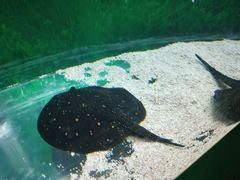 -常州海昌海洋探索馆