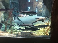 -波塞冬旅游度假区